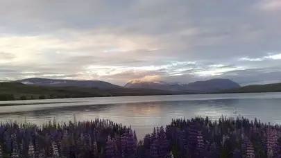 新西兰免费营地指南